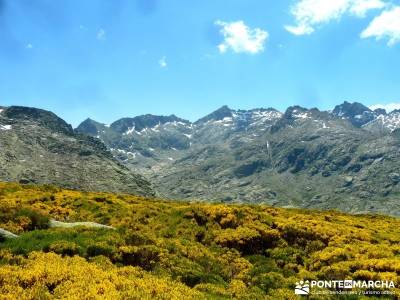 El Morezón - Sierra de Gredos; nacimiento del rio cuervo;profesionalidad